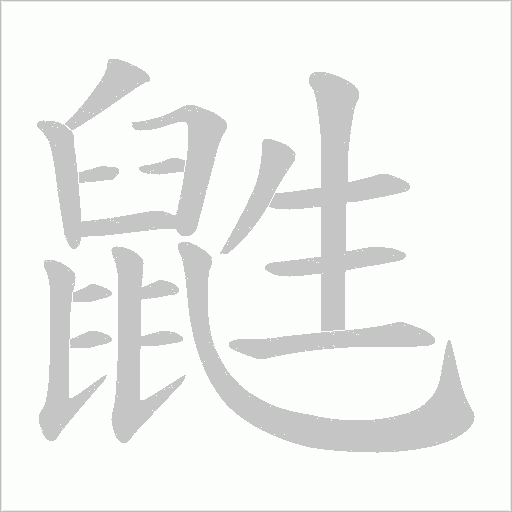鼪的笔顺动画演示