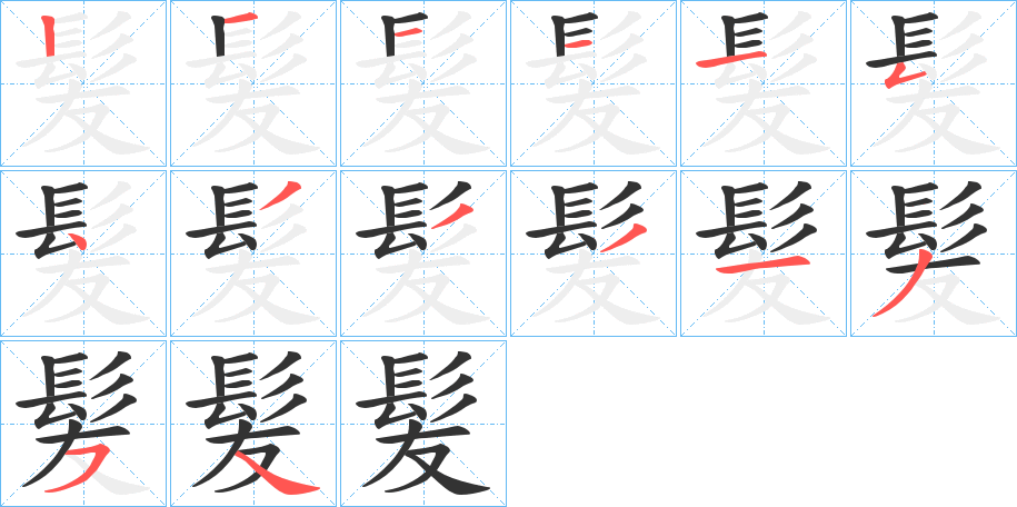 髪的笔顺分步演示