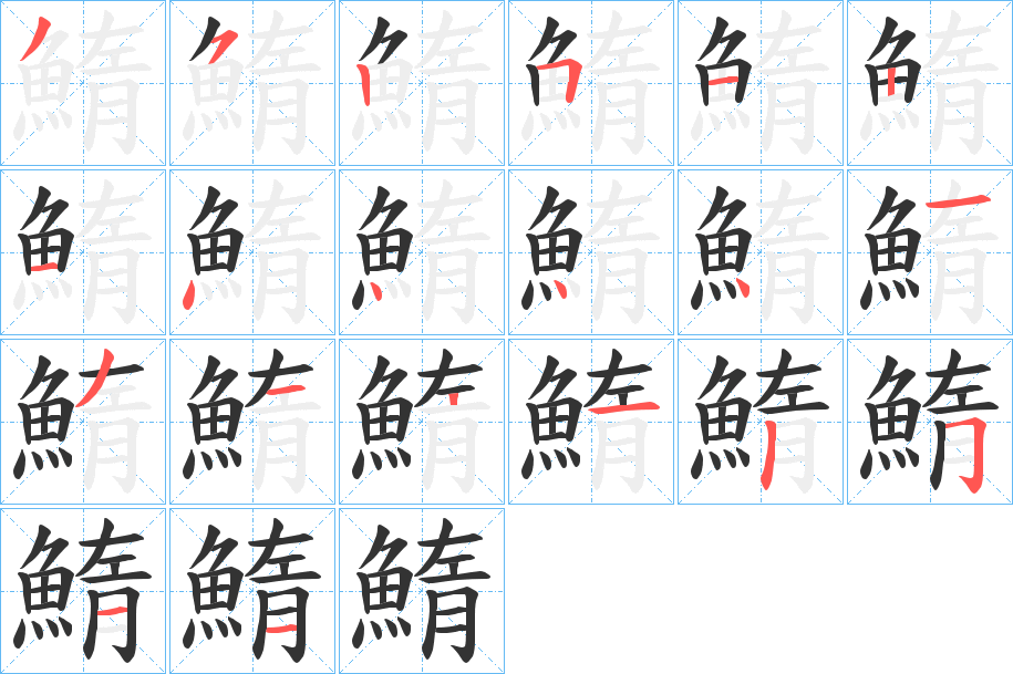 鰖的笔顺分步演示