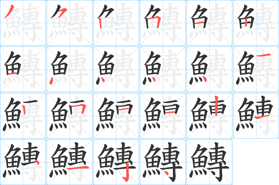 鱄的笔顺分步演示