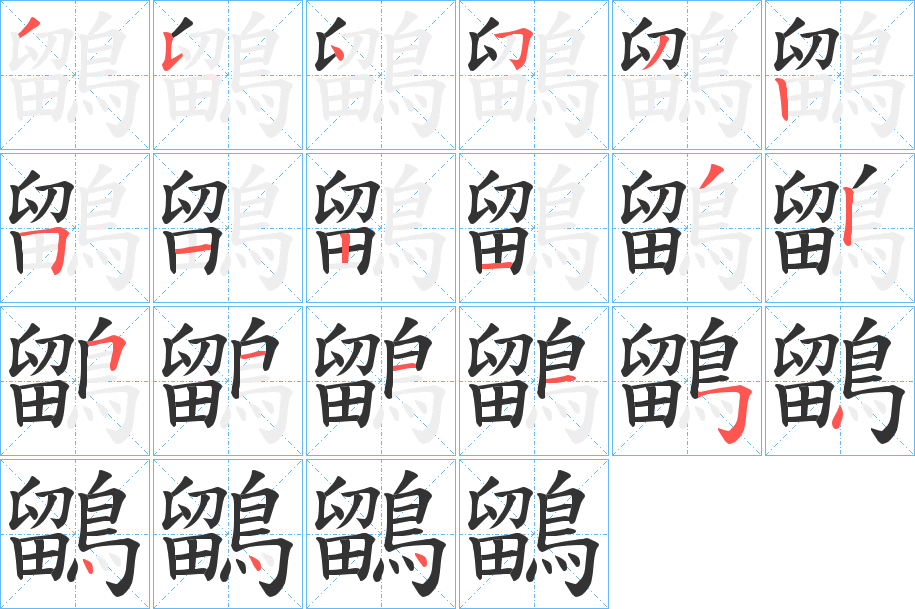 鶹的笔顺分步演示