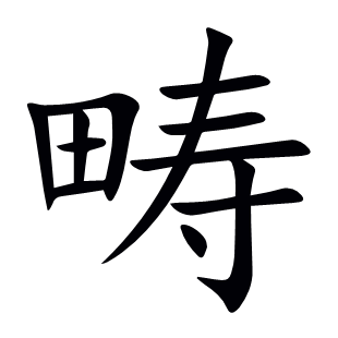 畴